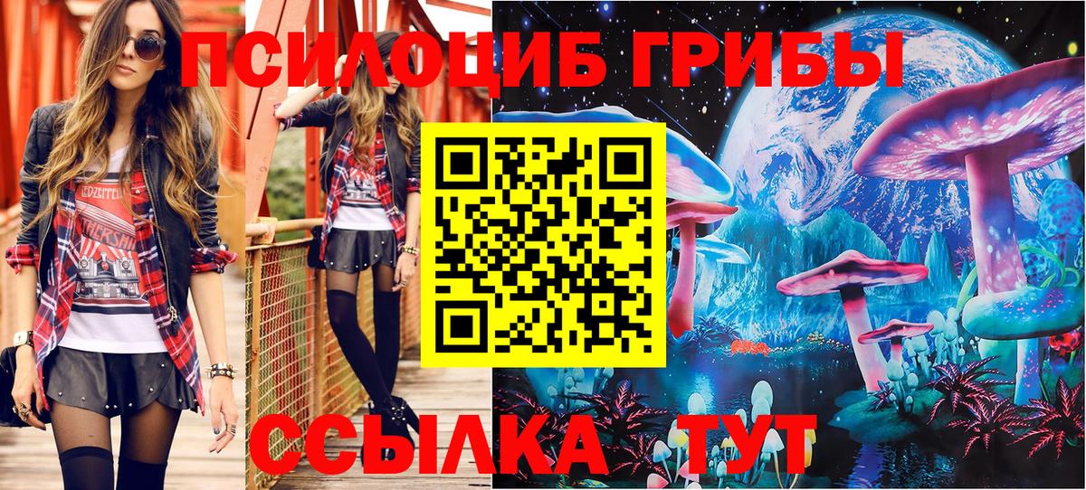 Галлюциногенные грибы Cubensis  Псилоцибиновые грибы прущие грибы  Вход с VPN  Элиста 